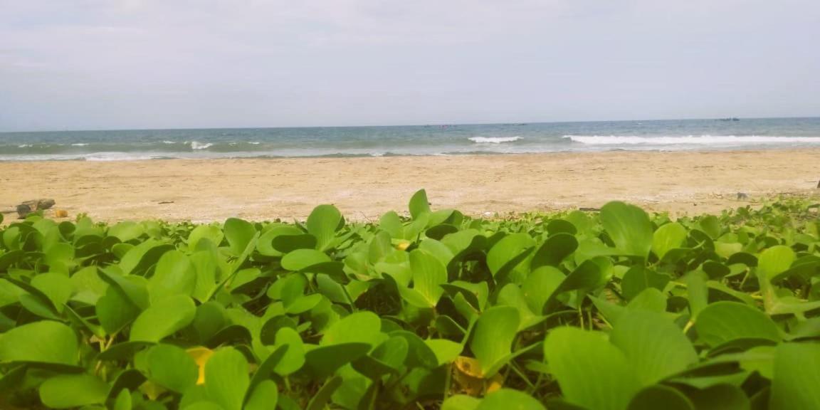 Chan Beach Resort Bahur 外观 照片