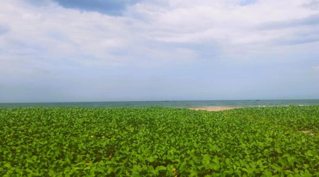 Chan Beach Resort Bahur 外观 照片